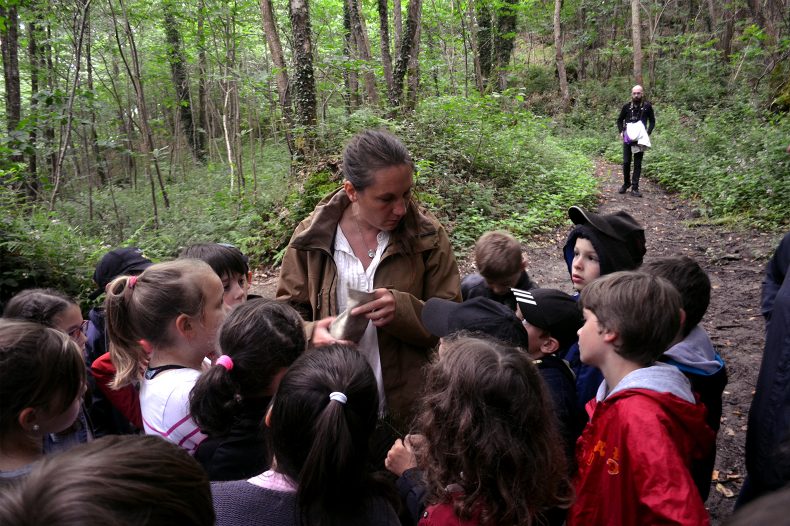 Identité visuelle et illustrations pour Plumes et Papillons